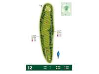 Hole Map